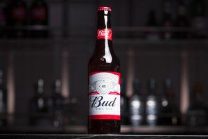 Bud's image